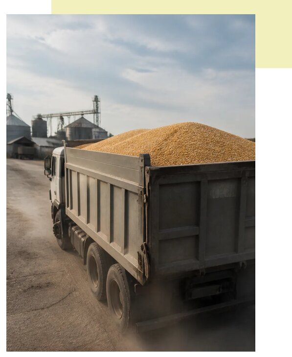 Перевозка сельхозпродукции навалом в Крымск по цене от 3109 р. | Агросервис-Крм
