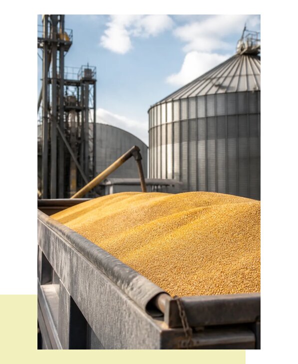 Перевозка сельхозпродукции навалом с доставкой в Крымск